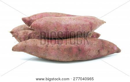 Tapioca Plants Cassava Closeup Isolated On White Background