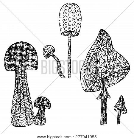 Mushroom Cartoons Sketch Set. Cute Doodle Style Monochrome Design Element Stock Vector Illustration 