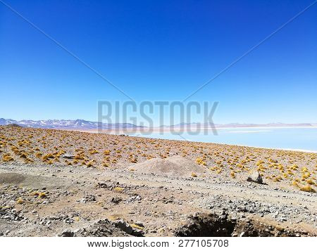 Bolivian Lagoon Landscape, Aguas Termales De Polques,bolivia