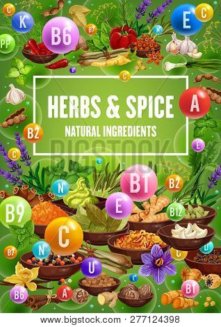 Vitamins In Spices, Herbs, Seasonings And Condiments. Chili Pepper, Garlic And Cinnamon, Vanilla, Gi