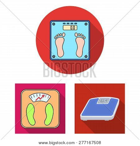 Vector Design Of Weight And Lab Icon. Collection Of Weight And Kitchen Vector Icon For Stock.