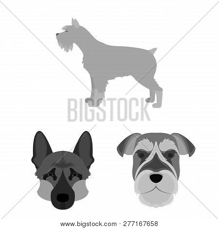 Vector Design Of Cute And Puppy Symbol. Set Of Cute And Animal Stock Vector Illustration.