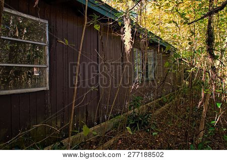 Exterior Of An Abandoned Foreclosed Home In Rural Florida With Overgrown Vegetation