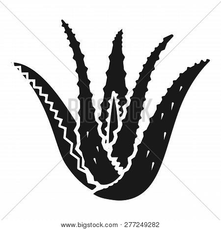 Aloe Vera Icon. Simple Illustration Of Aloe Vera Vector Icon For Web Design Isolated On White Backgr