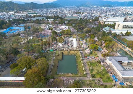 Shizuoka City Skyline With Cherry Blossom (sunpu Castle Park)