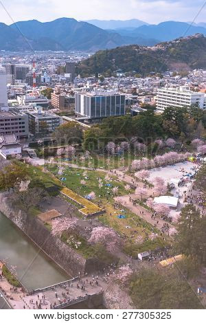 Shizuoka City Skyline With Cherry Blossom (sunpu Castle Park)