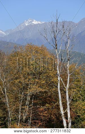 View Of The Ridge Psekhako, Sochi, Russia