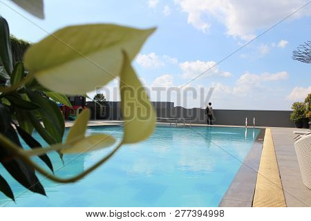 The Swimming Pool In Tropical Resort (hotel)