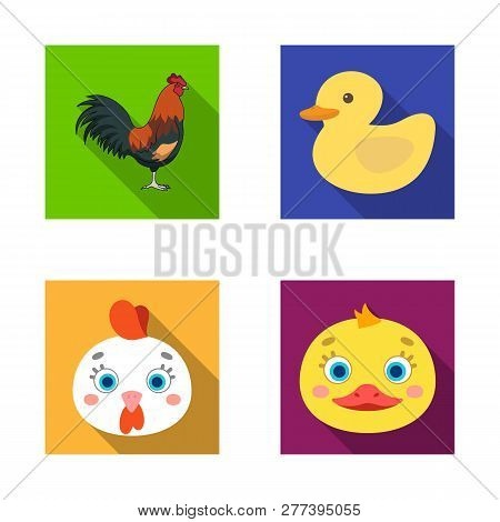 Vector Design Of Funny And Poultry Sign. Collection Of Funny And Farming Vector Icon For Stock.