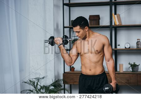 Handsome Bi-racial Man Looking At Muscles While Exercising With Dumbbells In Home Gym