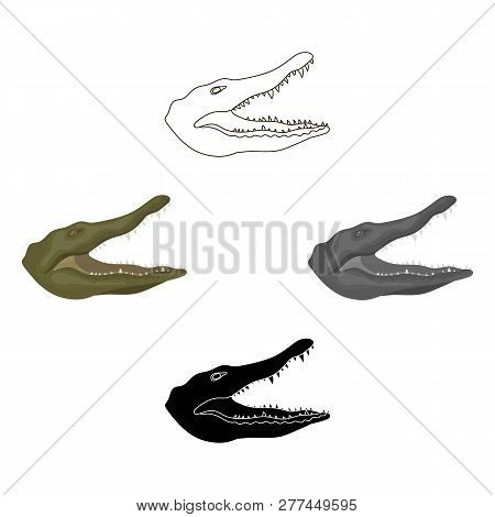 Crocodile Icon In Cartoon Style Isolated On White Background. Realistic Animals Symbol Stock Vector 
