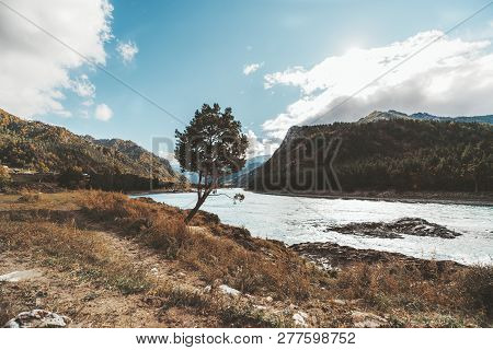 Wide-angle Scenery Composed By Sparse Vegetation On The Margins Of The River Katun During Fall Overl