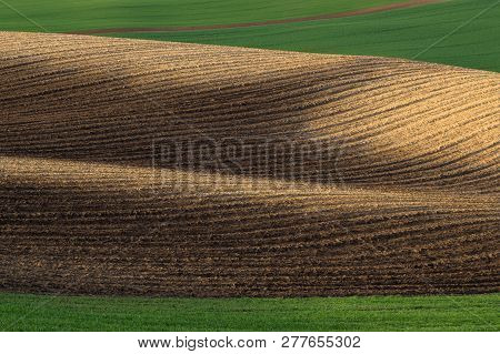 Moravian Tuscany Landscape. Fields And Meadows In South Morava, Czech Republic. Wavy Country Scenery