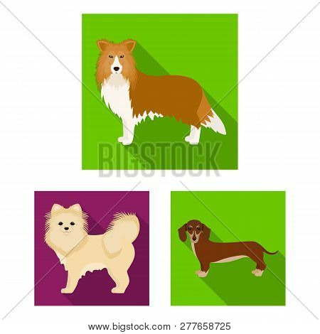 Vector Design Of  Cute  And  Icon. Collection Of  Cute  And  Vector Icon For Stock.