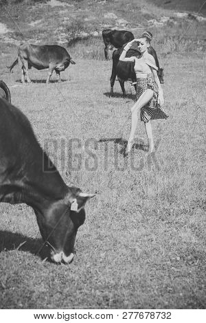 Cow, Woman In Countryside Pasture, Ecology. Dairy, Milk Production, Industry. Village, Farming, Fiel