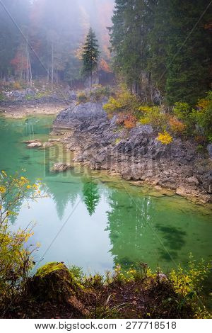 This Magical Tree On Lake Laghi Di Fusine With Nice Reflections On Water On A Foggy Morning In Autum