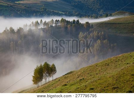foggy summer landscape in the mountains, Salciua, Romania