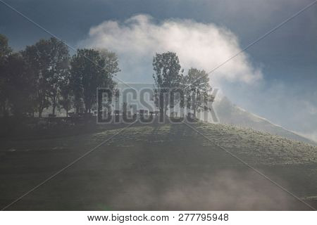 foggy summer landscape in the mountains, Salciua, Romania