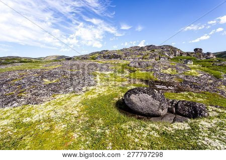 Shore Of Barents Sea In Northern Polar Summer. Arctic Ocean, Kola Peninsula, Russia