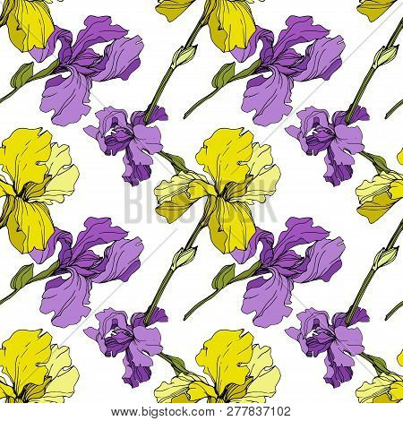 Vector Iris Floral Botanical Flower. Seamless Background Pattern. Fabric Wallpaper Print Texture.
