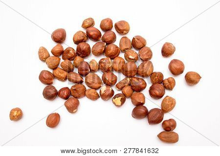 Hazelnuts Isolated On White Background. Hazelnuts Nuts. Hazelnut