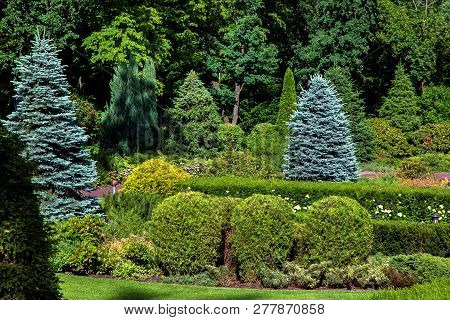 Landscape Design Of The Park With Plants From Shorn Shaped Bushes And Trees In The Background.