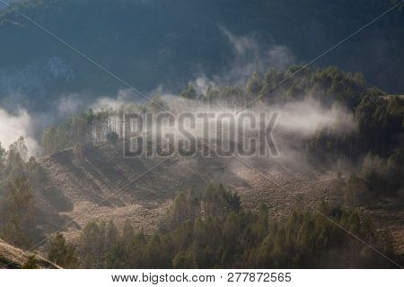 foggy summer landscape in the mountains, Salciua, Romania