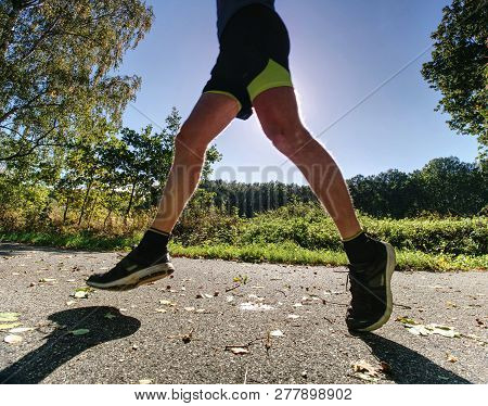 The Man Run In The Forest. The Athletic Man Running On A Forest Trail. The Man Running On Warmday