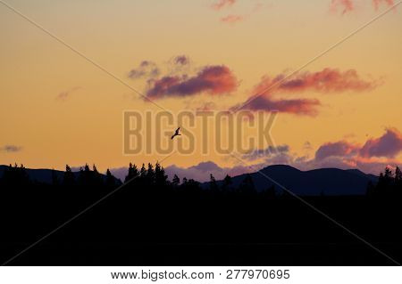 Mountain Landscape During Sunrise Near Methven In Canterbury, South Island, New Zealand