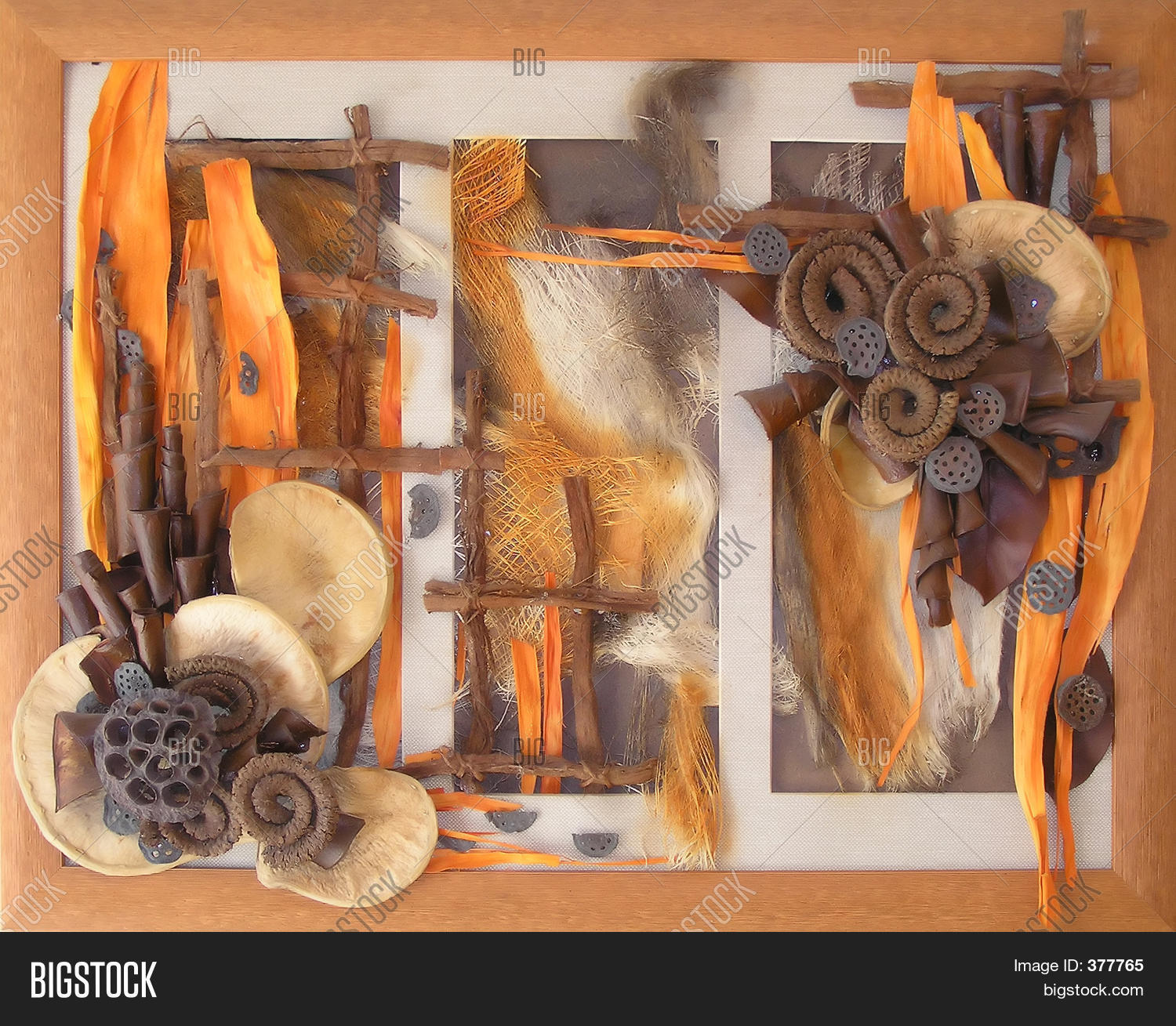 Image Preview