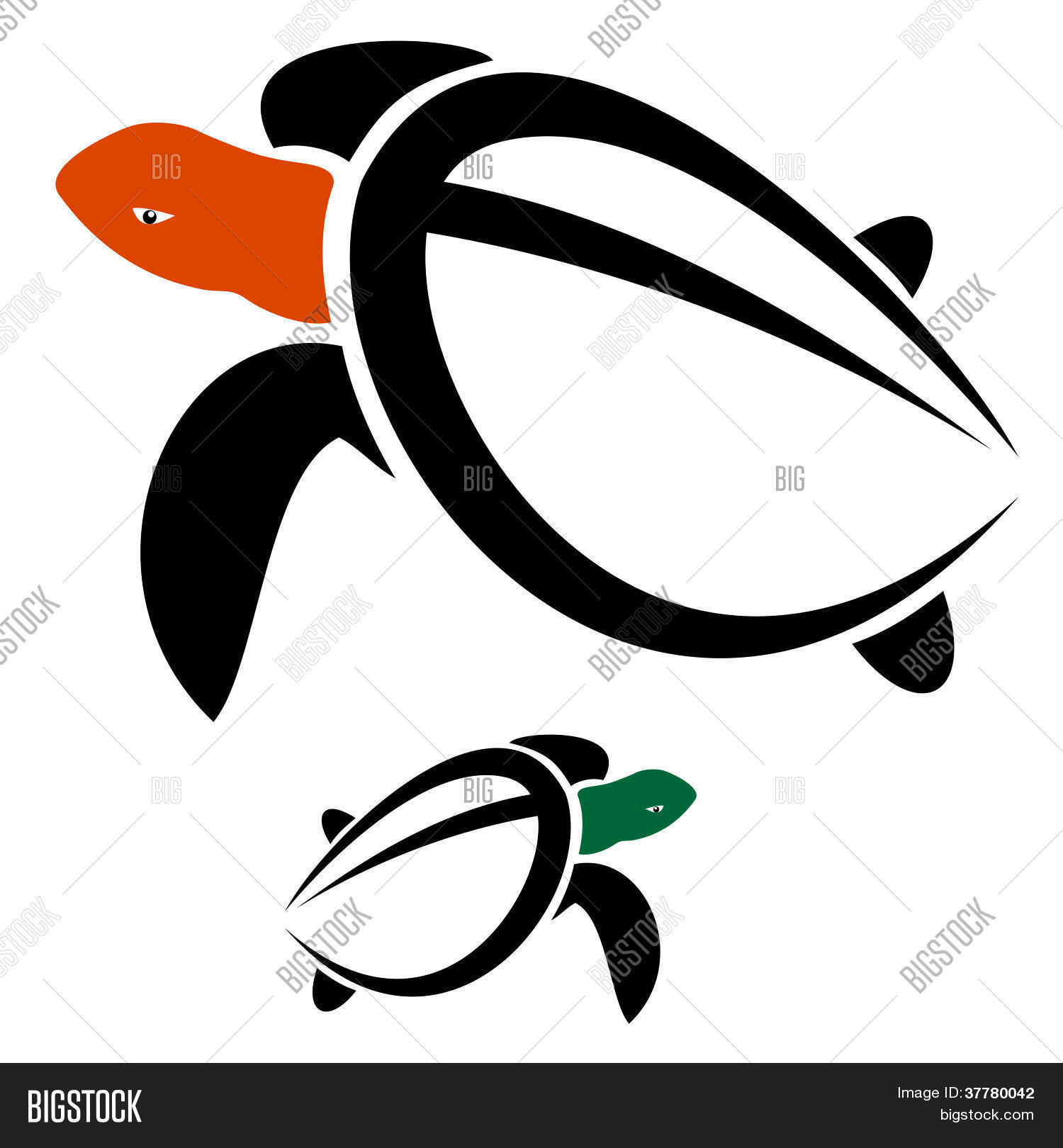 Image Preview