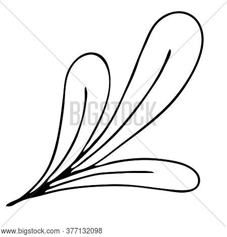 Autumn Leaf Freehand Vector Photo Free Trial Bigstock,Back View Anime Girl Walking Base
