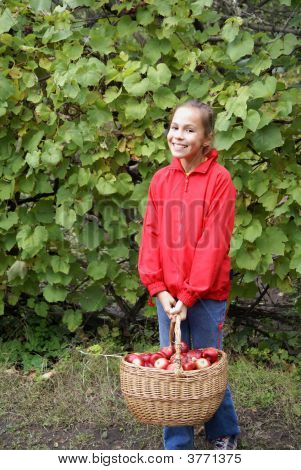 Preteen flicka med äpplen