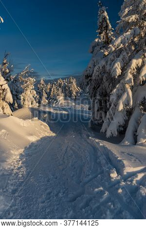 Witer Moutain Scenery With Snow Covered Hiking Trail, Frozensmall  Trees And Clear Sky Bellow Velka 