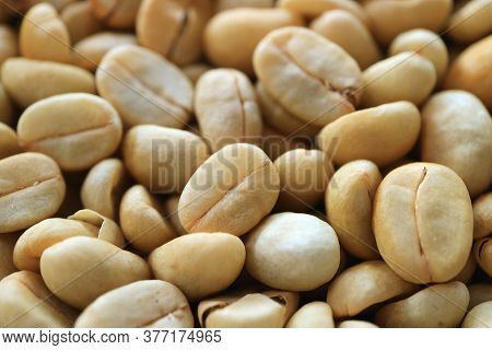 Heap Of Raw Coffee Beans Before The Process Of Roasting
