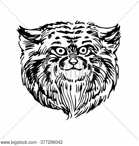 Head Of The Cat Manul, A Wild Rare Asian Animal, For Logo Or Emblem, Vector Illustration With Black 