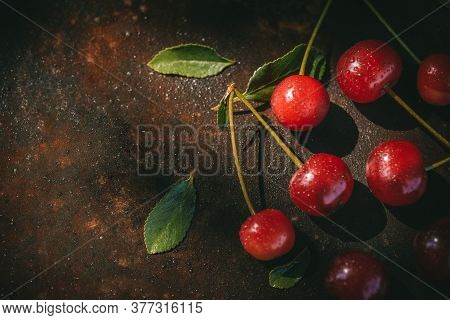 Ripe Cherries With Dew Drops On A Dark Background In The Rays Of Morning Light. Cottagecore Aestheti