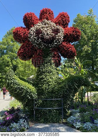 Meeting Point Blumi Or Treffpunkt Blumi (flower Island Mainau On The Lake Constance Or Die Blumenins