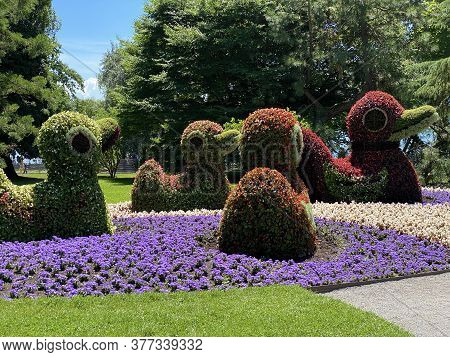 Floral Sculptures Of Birds Or Blumenfiguren Von Vögeln (flower Island Mainau On The Lake Constance O