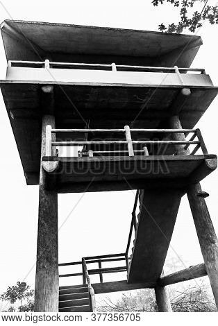 Inside view of Kaziranga National Park of northeast Indian state of Assam. Watchtower of Kaziranga N