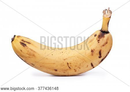 Ripe yellow banana fruit, one overripe banana with dark spots isolated on white background