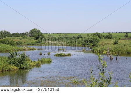 A Beautiful River Adorns The Landscape And Gives Life To Everything Around