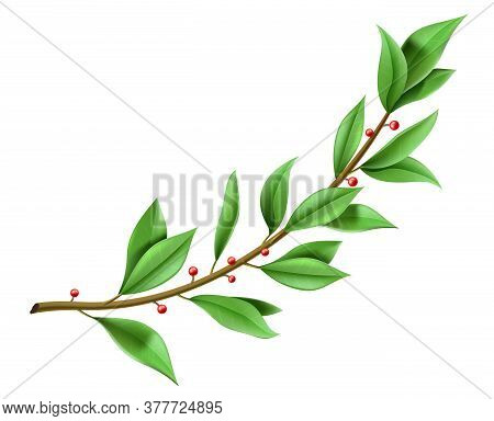 Tree Twig Laurel Wreath With Green Leaves