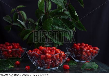 Ripe Dogwood Berries In Glass Salad Bowls With Drops Of Water And Sprigs Of Green Leaves On A Black 