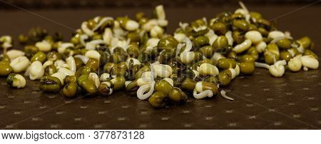 Healthy Sprouts In Blurred Background