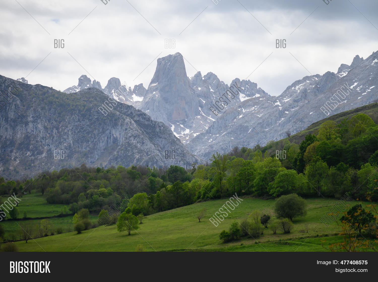 Image Preview