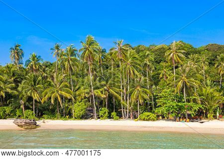 Beautful Tropical Beach In A Sunny Day