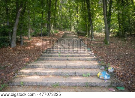 Start Of The Hiking Route 'teutoschleife Waldauenweg' With A Staircase Called 'himmelsleiter', Which