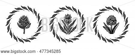 Linotype Floral Icon Collection In Whimsical Vector Art. Decorative Foliate Design For Rustic Botany
