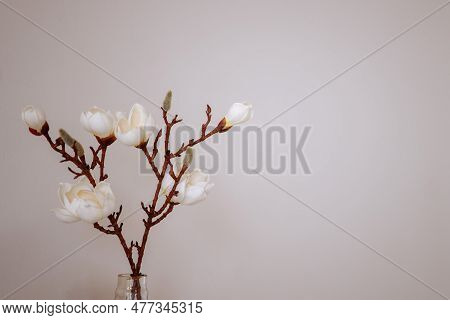 Minimalistic Image Of Sprigs Of Blossoming Magnolia Denudata In Vase Isolated On Light Pink Backgrou